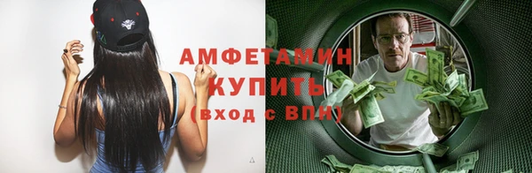 стаф Щучье
