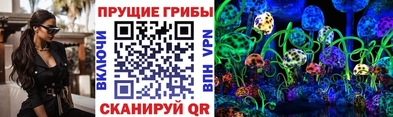 Псилоцибиновые грибы прущие грибы  darknet телеграм  Шахты 
